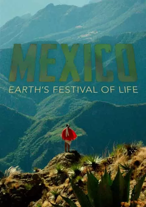 墨西哥：地球生命的狂欢